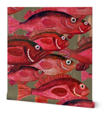 Red Snapper Fish Wallpaper - Large Scale