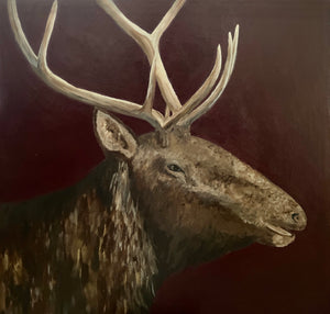 Big Bull Elk -size 36x36